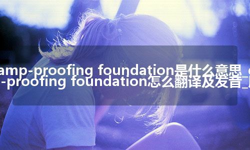 damp-proofing foundation是什么意思_damp-proofing foundation怎么翻译及发音_用法