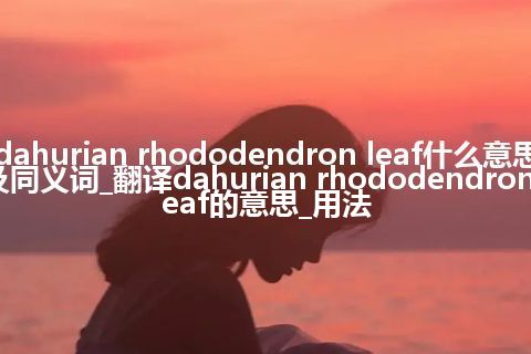 dahurian rhododendron leaf什么意思及同义词_翻译dahurian rhododendron leaf的意思_用法