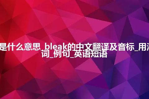 bleak是什么意思_bleak的中文翻译及音标_用法_同义词_例句_英语短语