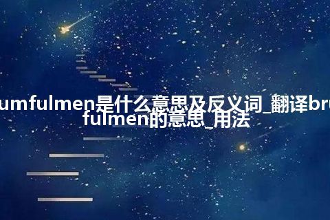 brutumfulmen是什么意思及反义词_翻译brutumfulmen的意思_用法