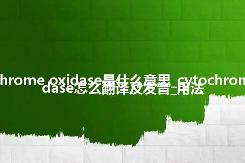 cytochrome oxidase是什么意思_cytochrome oxidase怎么翻译及发音_用法