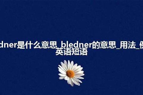 bledner是什么意思_bledner的意思_用法_例句_英语短语