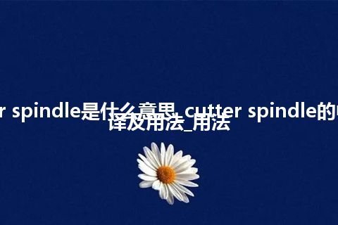 cutter spindle是什么意思_cutter spindle的中文翻译及用法_用法