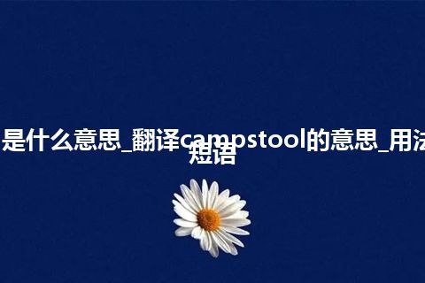 campstool是什么意思_翻译campstool的意思_用法_例句_英语短语