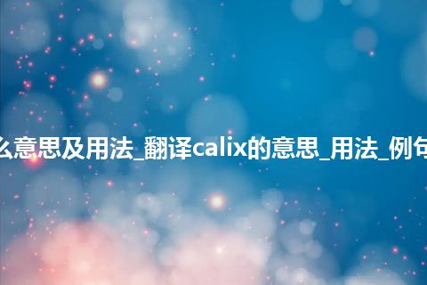 calix是什么意思及用法_翻译calix的意思_用法_例句_英语短语