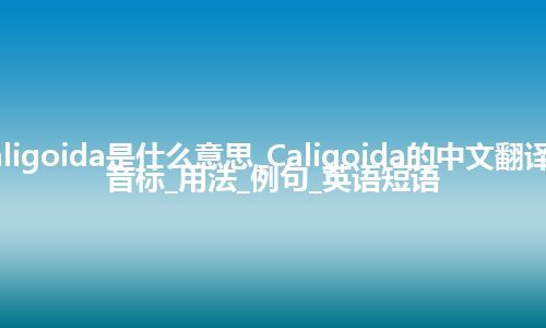 Caligoida是什么意思_Caligoida的中文翻译及音标_用法_例句_英语短语