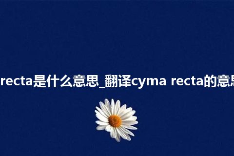 cyma recta是什么意思_翻译cyma recta的意思_用法