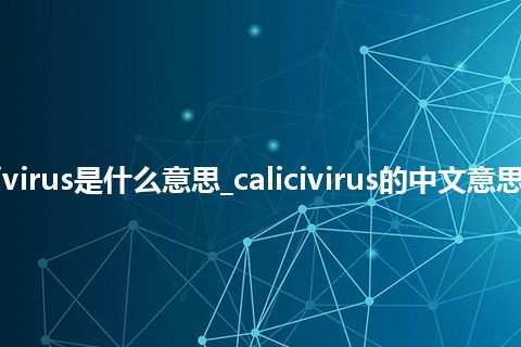 calicivirus是什么意思_calicivirus的中文意思_用法