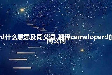 camelopard什么意思及同义词_翻译camelopard的意思_用法_同义词