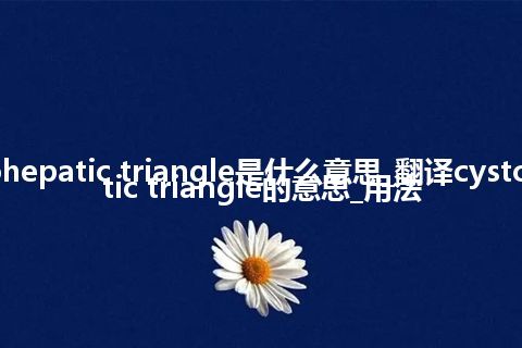 cystohepatic triangle是什么意思_翻译cystohepatic triangle的意思_用法