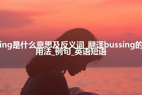 bussing是什么意思及反义词_翻译bussing的意思_用法_例句_英语短语