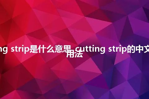 cutting strip是什么意思_cutting strip的中文意思_用法