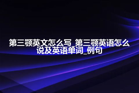 第三颚英文怎么写_第三颚英语怎么说及英语单词_例句