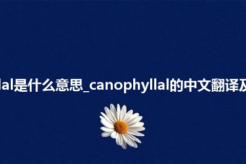 canophyllal是什么意思_canophyllal的中文翻译及用法_用法