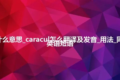 caracul是什么意思_caracul怎么翻译及发音_用法_同义词_例句_英语短语