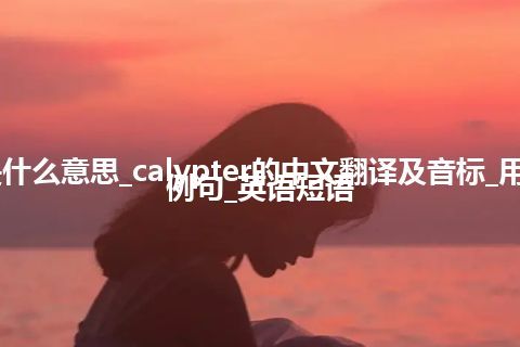 calypter是什么意思_calypter的中文翻译及音标_用法_同义词_例句_英语短语