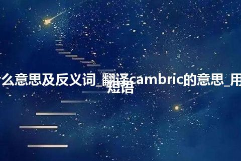 cambric是什么意思及反义词_翻译cambric的意思_用法_例句_英语短语