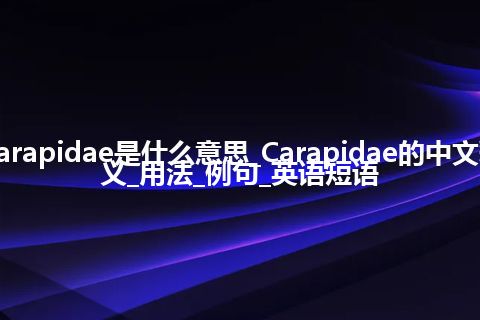 Carapidae是什么意思_Carapidae的中文释义_用法_例句_英语短语