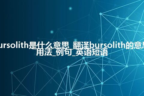 bursolith是什么意思_翻译bursolith的意思_用法_例句_英语短语