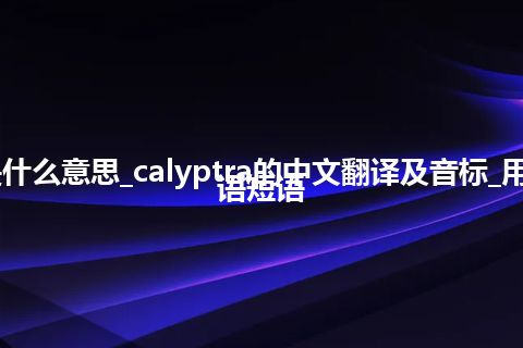 calyptra是什么意思_calyptra的中文翻译及音标_用法_例句_英语短语