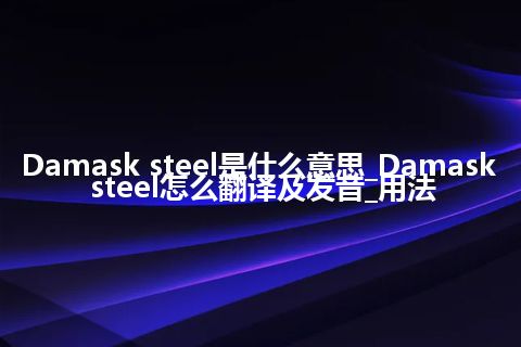 Damask steel是什么意思_Damask steel怎么翻译及发音_用法