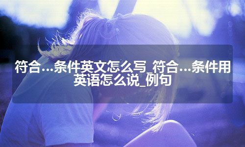 符合…条件英文怎么写_符合…条件用英语怎么说_例句