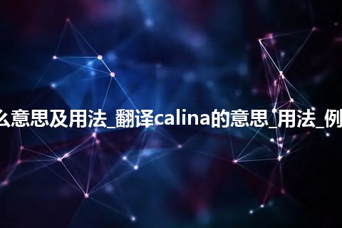 calina是什么意思及用法_翻译calina的意思_用法_例句_英语短语