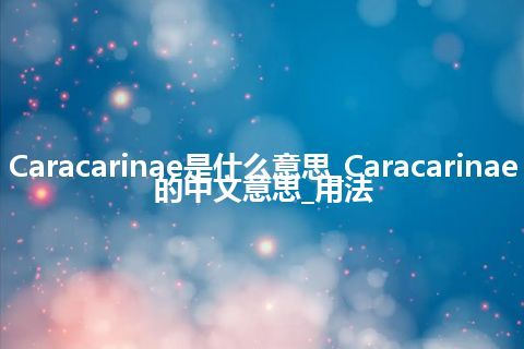 Caracarinae是什么意思_Caracarinae的中文意思_用法