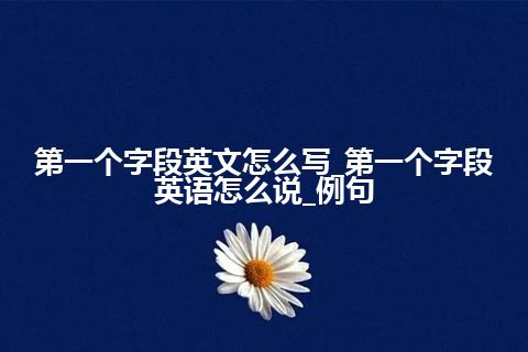 第一个字段英文怎么写_第一个字段英语怎么说_例句