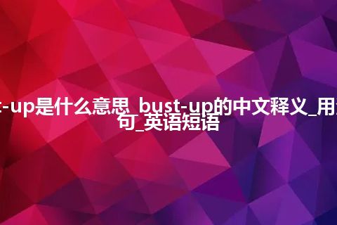 bust-up是什么意思_bust-up的中文释义_用法_例句_英语短语