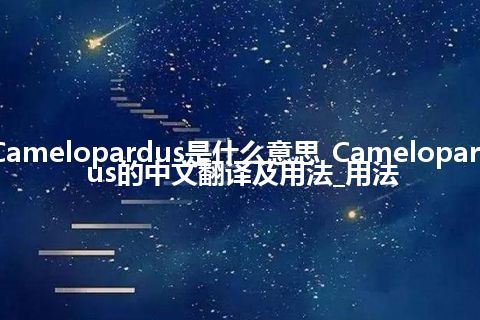 Camelopardus是什么意思_Camelopardus的中文翻译及用法_用法