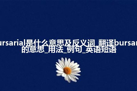 bursarial是什么意思及反义词_翻译bursarial的意思_用法_例句_英语短语