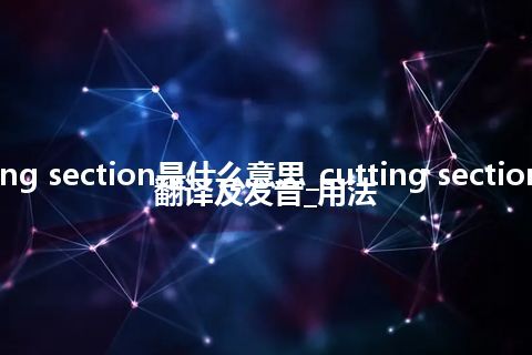 cutting section是什么意思_cutting section怎么翻译及发音_用法