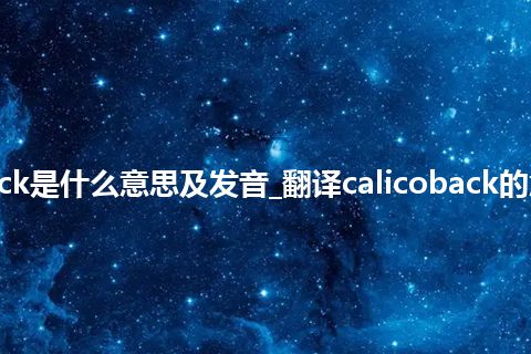 calicoback是什么意思及发音_翻译calicoback的意思_用法