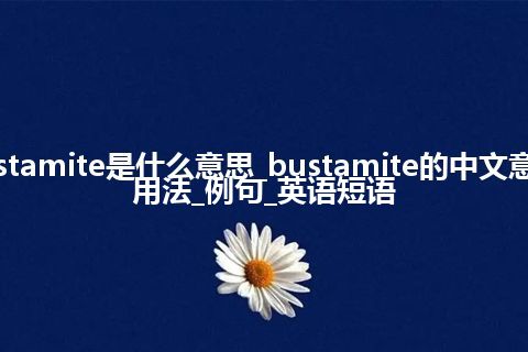 bustamite是什么意思_bustamite的中文意思_用法_例句_英语短语