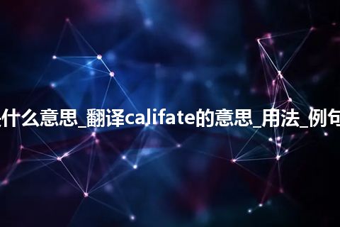 califate是什么意思_翻译califate的意思_用法_例句_英语短语