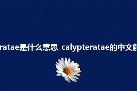 calypteratae是什么意思_calypteratae的中文解释_用法