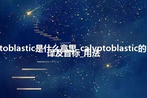 calyptoblastic是什么意思_calyptoblastic的中文翻译及音标_用法