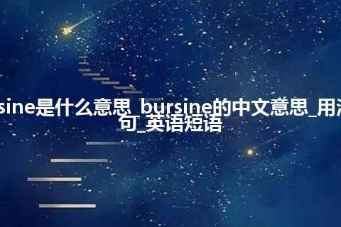 bursine是什么意思_bursine的中文意思_用法_例句_英语短语