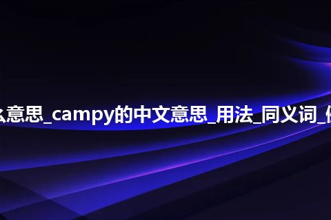 campy是什么意思_campy的中文意思_用法_同义词_例句_英语短语