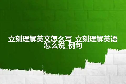 立刻理解英文怎么写_立刻理解英语怎么说_例句