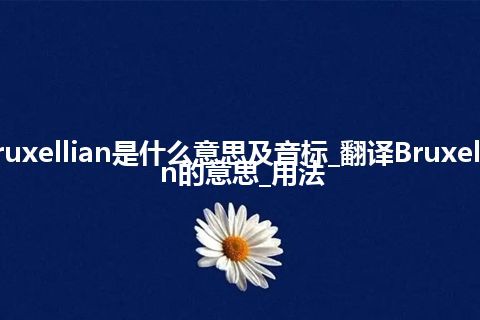 Bruxellian是什么意思及音标_翻译Bruxellian的意思_用法