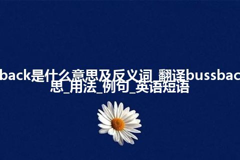 bussback是什么意思及反义词_翻译bussback的意思_用法_例句_英语短语