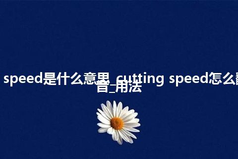 cutting speed是什么意思_cutting speed怎么翻译及发音_用法