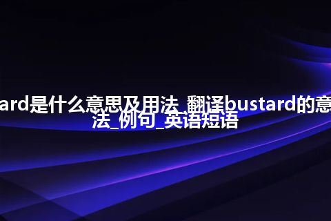 bustard是什么意思及用法_翻译bustard的意思_用法_例句_英语短语