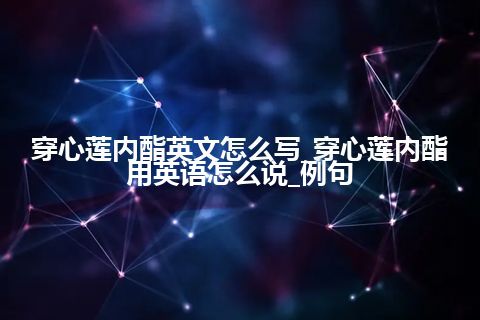 穿心莲内酯英文怎么写_穿心莲内酯用英语怎么说_例句