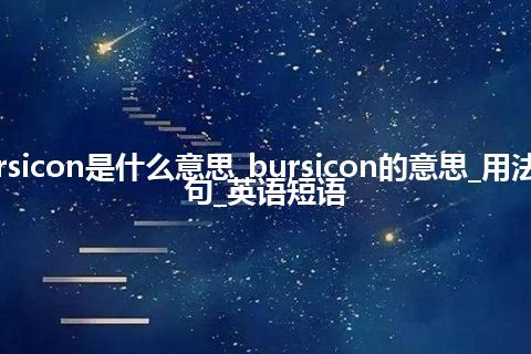 bursicon是什么意思_bursicon的意思_用法_例句_英语短语