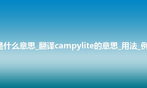 campylite是什么意思_翻译campylite的意思_用法_例句_英语短语