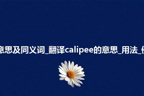 calipee什么意思及同义词_翻译calipee的意思_用法_例句_英语短语