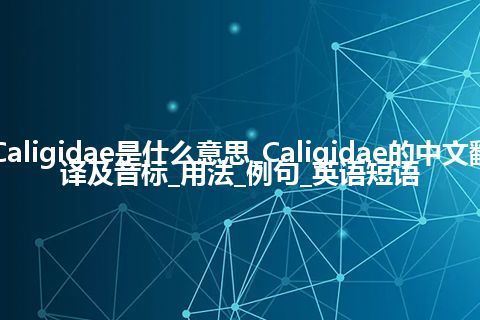 Caligidae是什么意思_Caligidae的中文翻译及音标_用法_例句_英语短语